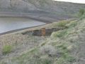 The reservoir quickly drained around the damaged conduit, resulting in a loss of the season’s irrigation water.