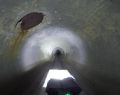 The Steel cylinder of this prestressed concrete cylinder conduit was visible in a recent inspection of this central Montana dam. Engineers determined this was a threat to the structural integrity of the conduit. The conduit was repaired by adding internal banding.